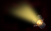 header image 2